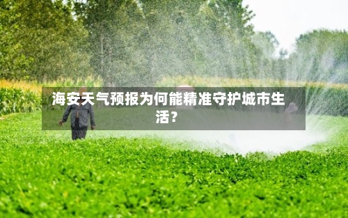  海安天气预报为何能精准守护城市生活？