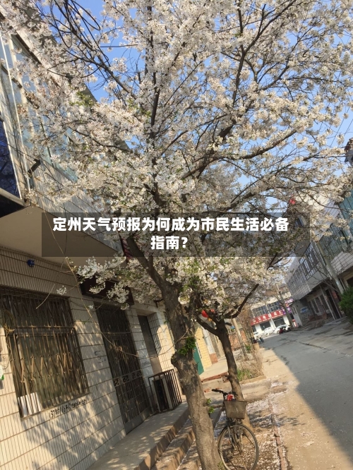  定州天气预报为何成为市民生活必备指南？