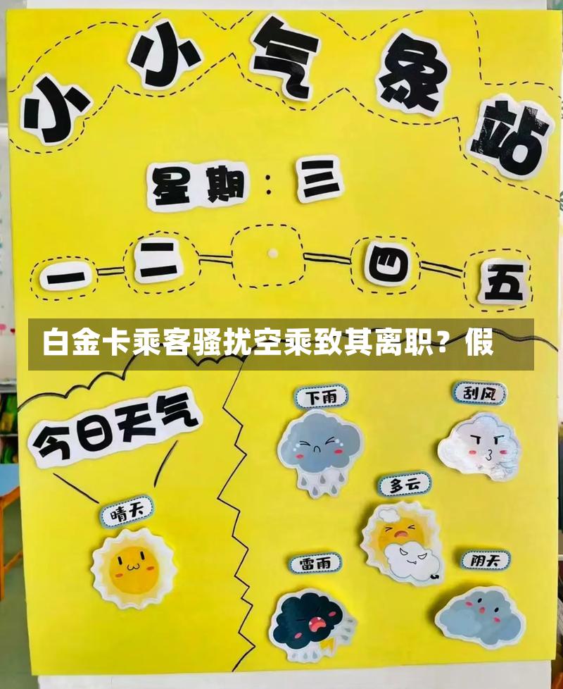  白金卡乘客骚扰空乘？谣言背后的真相揭秘